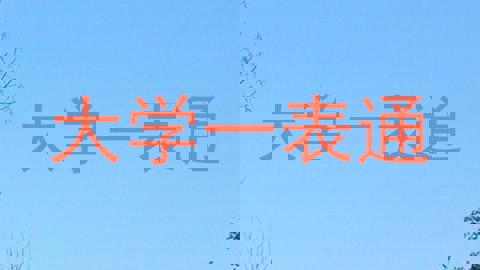 大学一表通