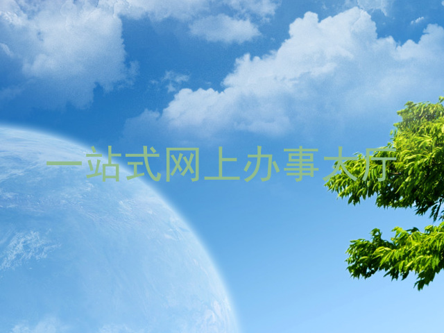 一站式网上办事大厅