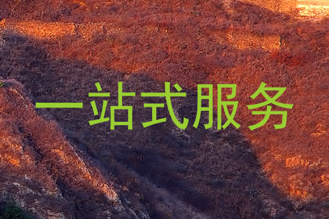 一站式服务