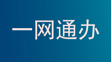 一网通办