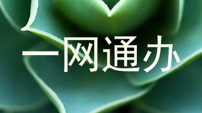 一网通办