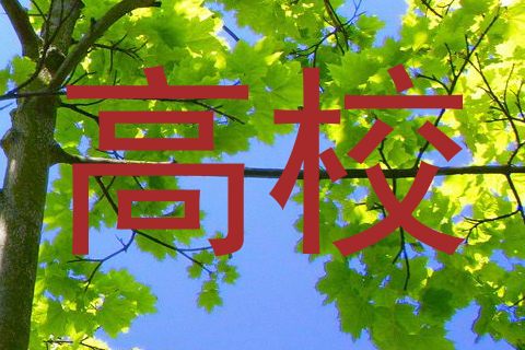 高校