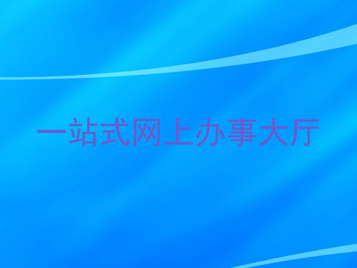 一站式网上办事大厅