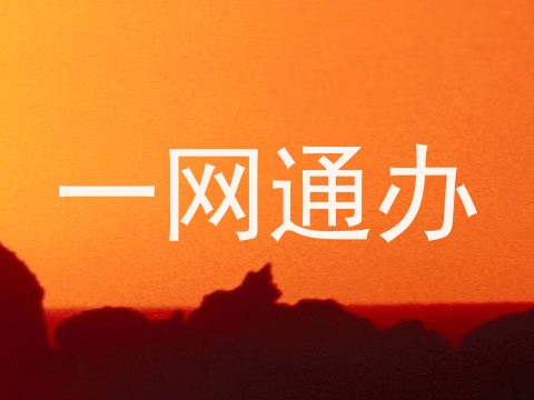 一网通办