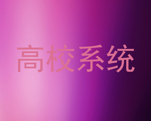 高校系统