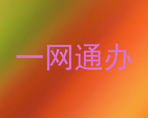 一网通办