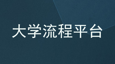 大学流程平台