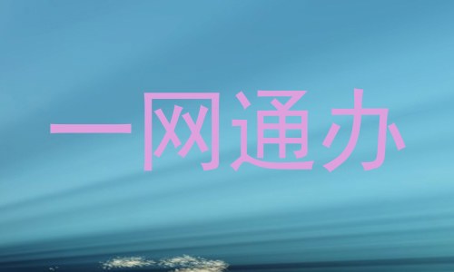 一网通办