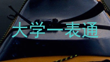 大学一表通