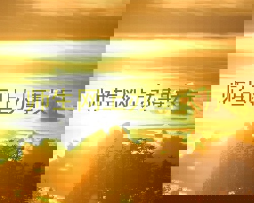 师生网上办事大厅