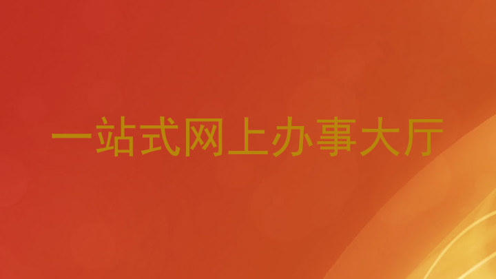 一站式网上办事大厅