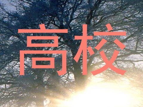 高校