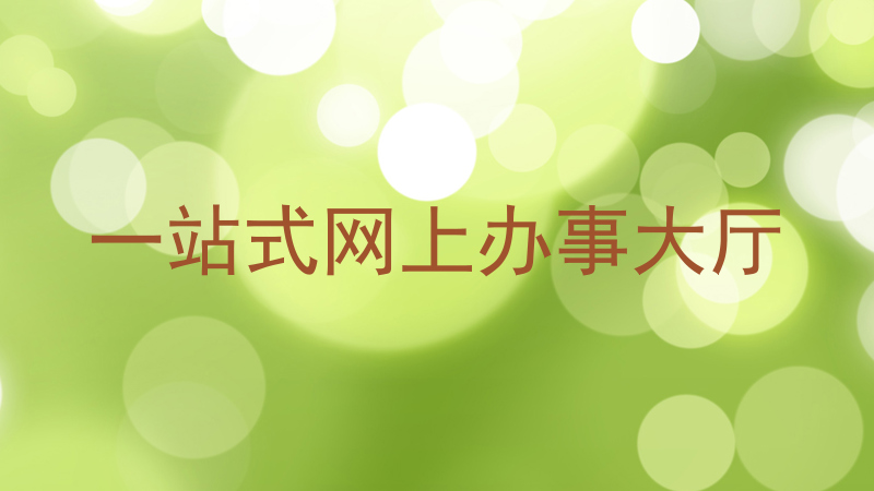 一站式网上办事大厅