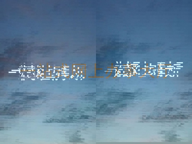 一站式网上办事大厅