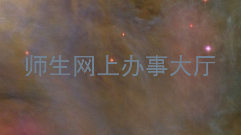 师生网上办事大厅