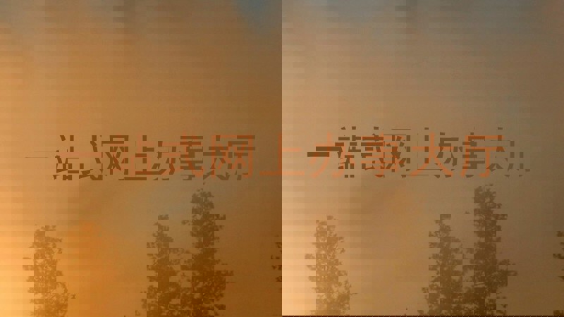 一站式网上办事大厅