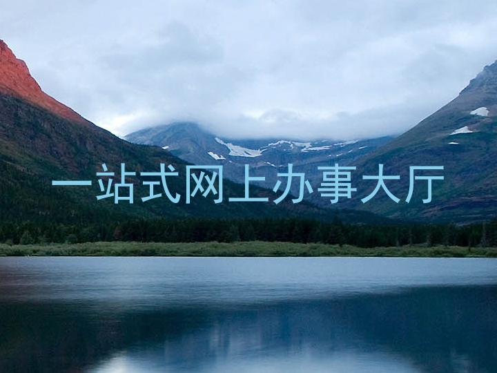 一站式网上办事大厅