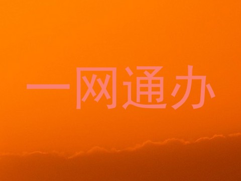 一网通办