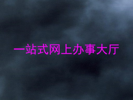 一站式网上办事大厅