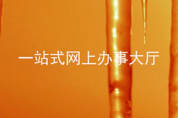 一站式网上办事大厅