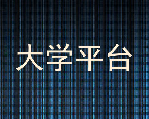 大学平台