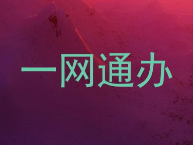 一网通办