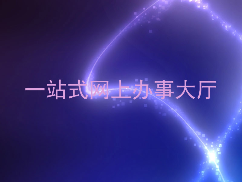 一站式网上办事大厅