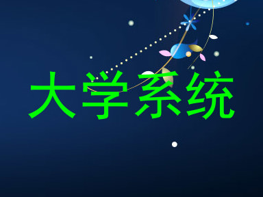 大学系统