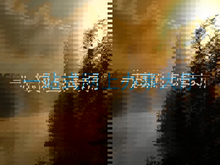 一站式网上办事大厅