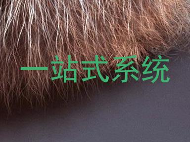 一站式系统