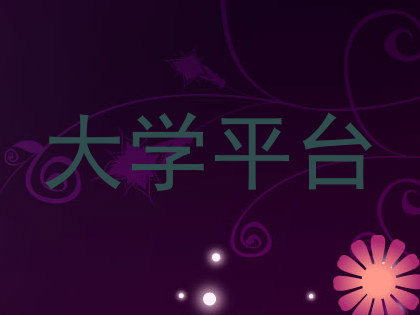 大学平台