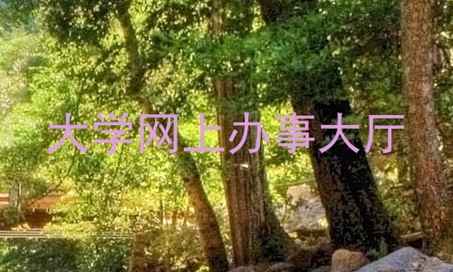 大学网上办事大厅