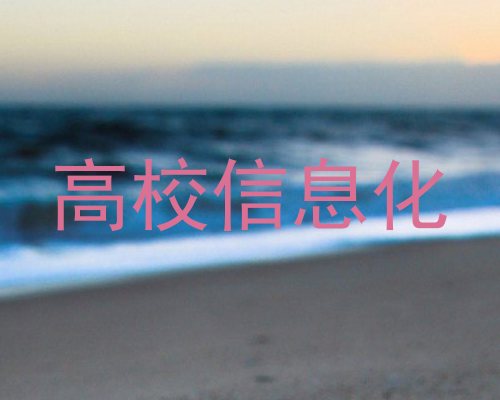 高校信息化