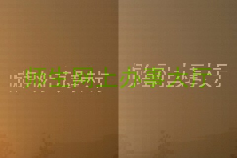 师生网上办事大厅