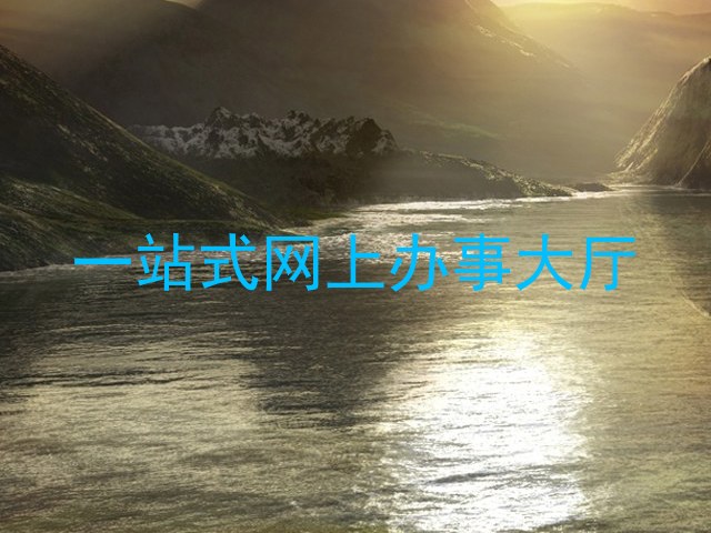 一站式网上办事大厅