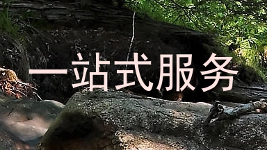 一站式服务