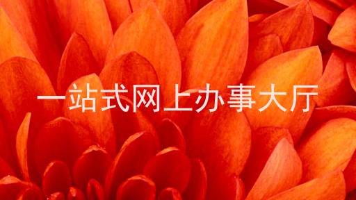 一站式网上办事大厅