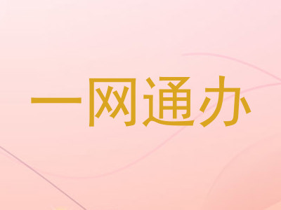 一网通办