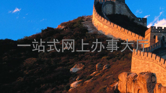 一站式网上办事大厅