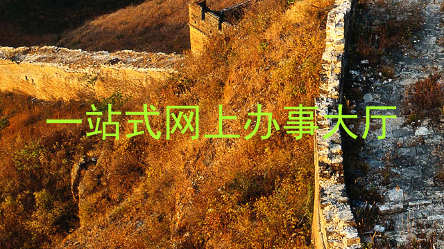 一站式网上办事大厅