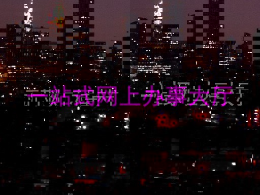 一站式网上办事大厅