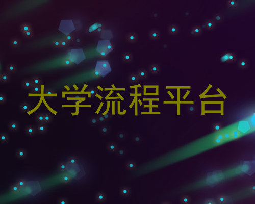 大学流程平台