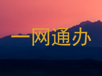 一网通办