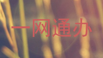 一网通办