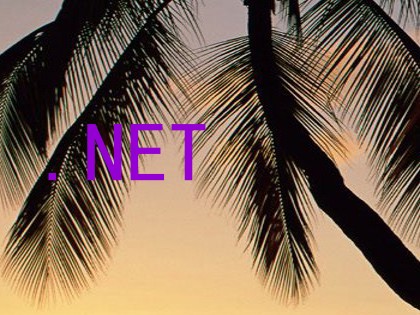 .NET