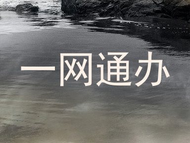 一网通办