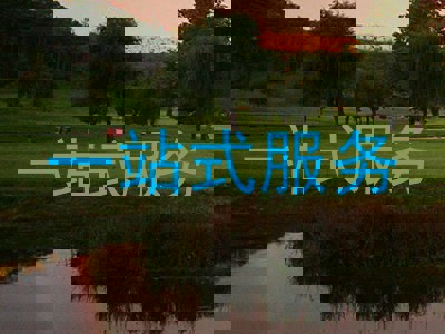一站式服务