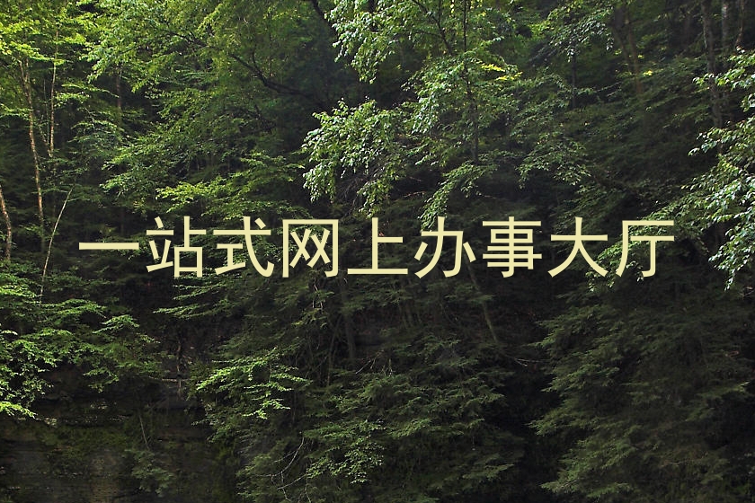 一站式网上办事大厅