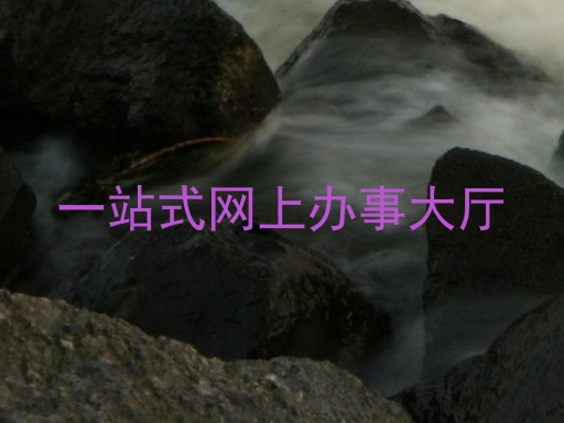 一站式网上办事大厅