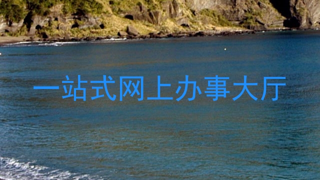 一站式网上办事大厅